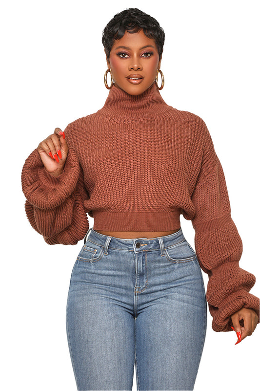 Burst Your Bubble Cropped Sweater (Brown)- FINAL SALE