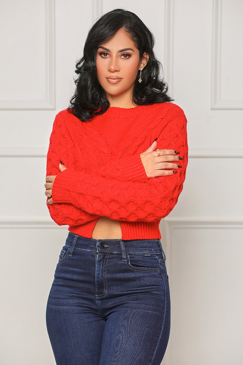 Reserved For You Cropped Sweater (Red)