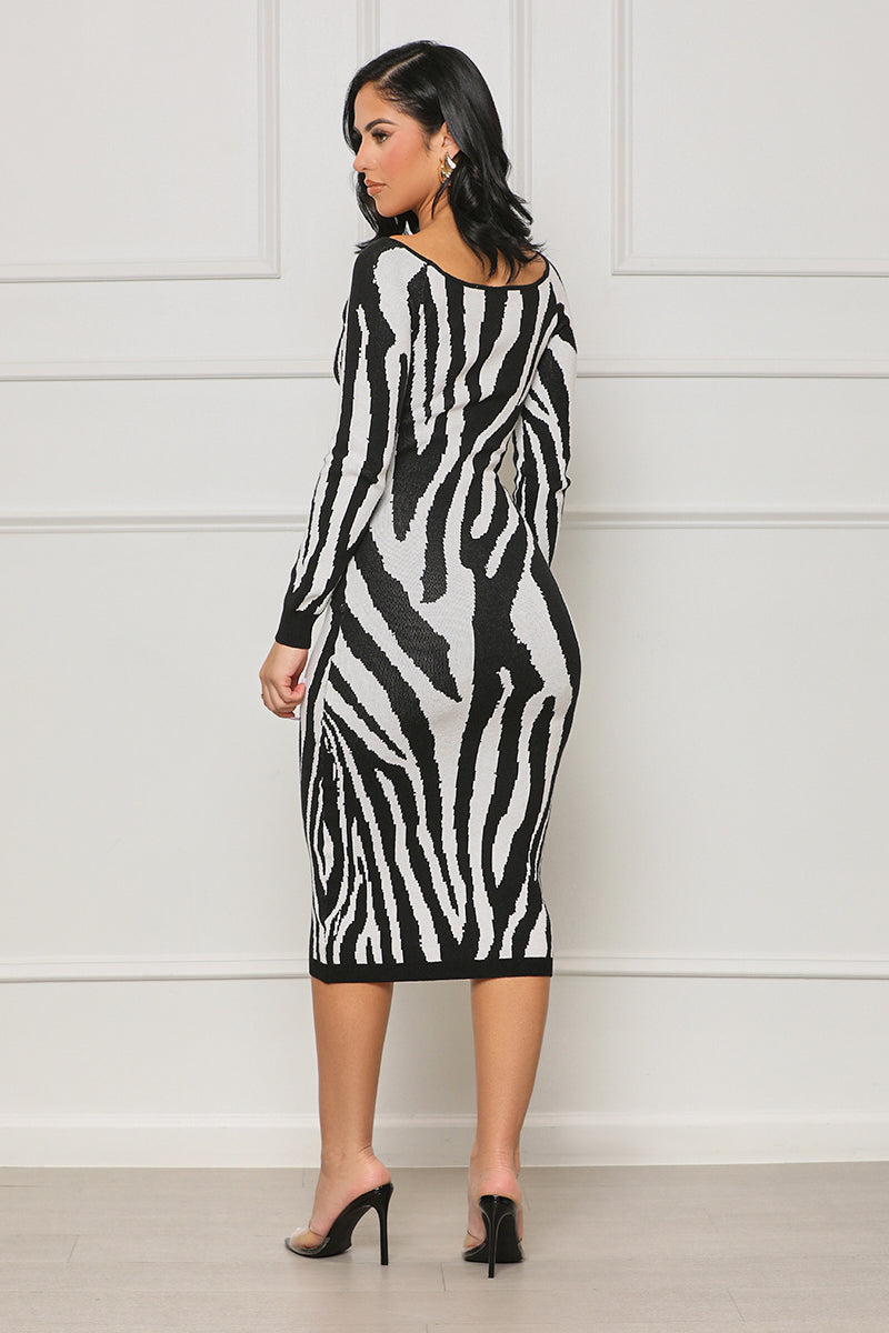 Meet You There Zebra Print Dress (Black Multi) - Lilly's Kloset
